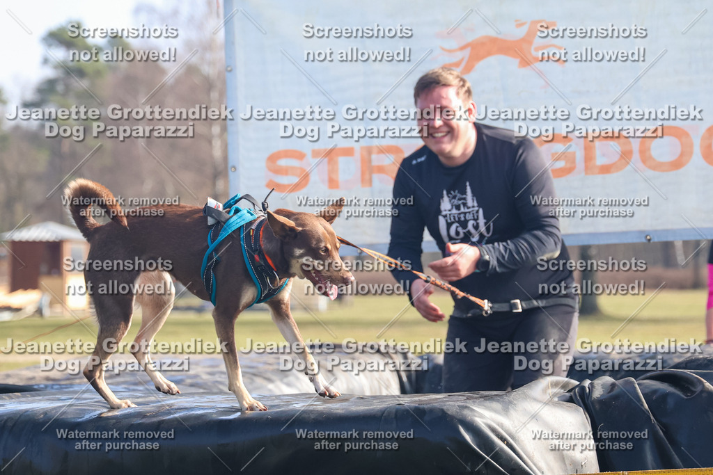 Dog Paparazzi - Strongdog North Mrz26-856 | Dog Paparazzi Jeanette Grottendiek Fotografie & Videografie - Realisiert mit Pictrs.com