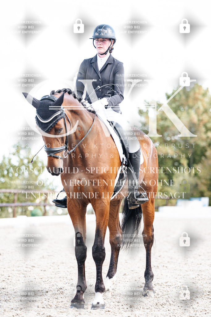 CK902423 | Turnierfotografie Pferdefotografie Trier Rheinland-Pfalz Pferdesport Reitsport Tierfotografie Sportfotografie Pferdevideo Pferdevideografie Equestrianvideography equestrianphotography  - Realisiert mit Pictrs.com