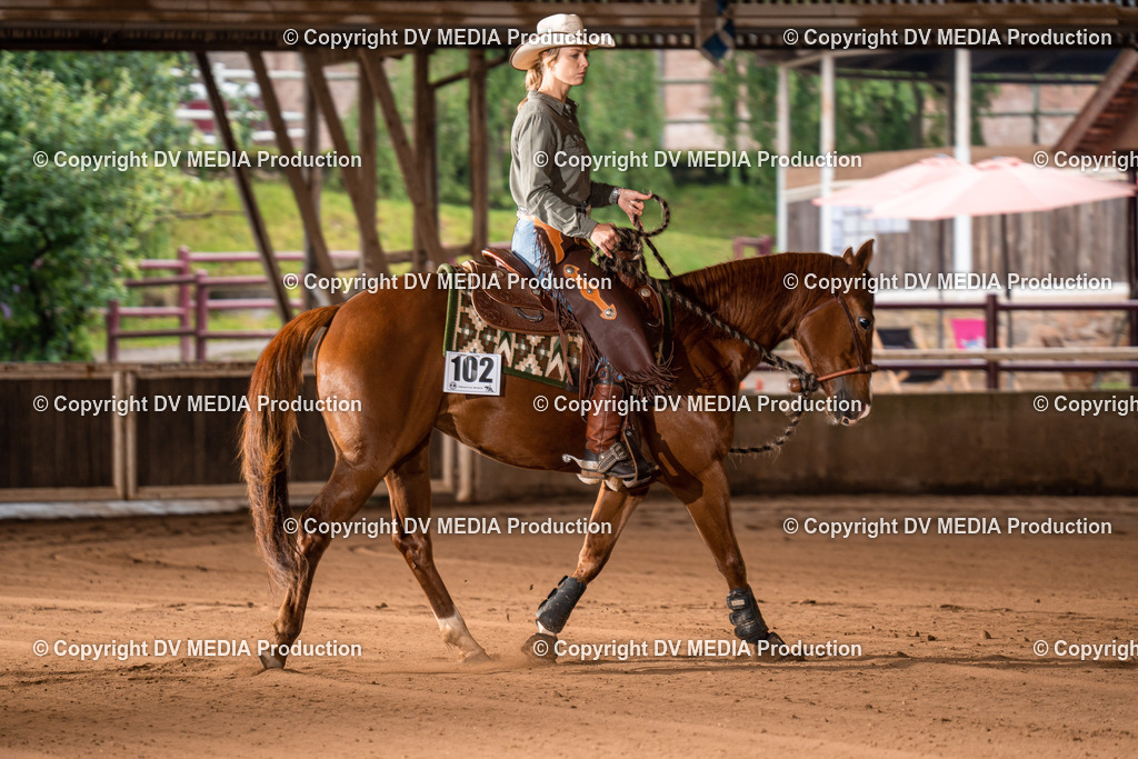 Erbach Tag 2-360 | dv-media-shop - Realisiert mit Pictrs.com