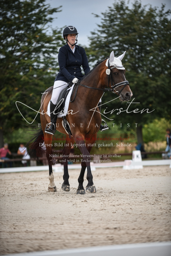 DSC_8441 | Pferde- und Turnierfotografie in Westsachsen. Pferdeportraits, Auftragszeichnungen und intuitive Kunst.