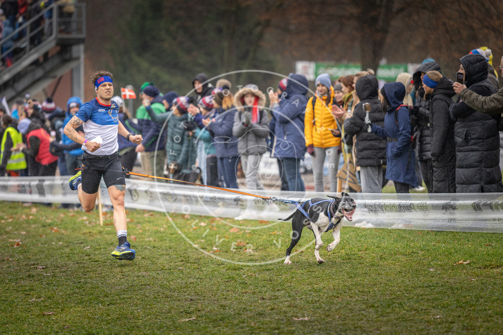 CaniXpix_DV3A9839 | Hundefotografie, Tierfotograf, Pfotenfotografie, Fotoshooting Hund, Hunde Portrait, Hundesport, Hundeportraits, Heideshooting, Hunde, Sportfotograf, Hundefotograf, Turnierhundsport, THS,  - Realisiert mit Pictrs.com