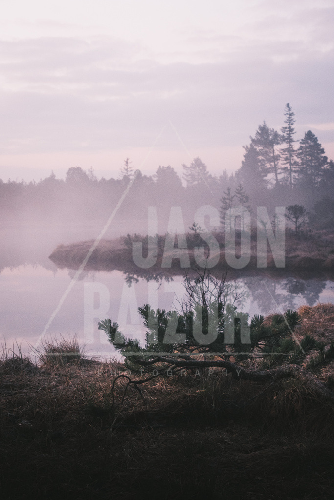 Nebel über dem Moor | jasonraizor - Realisiert mit Pictrs.com