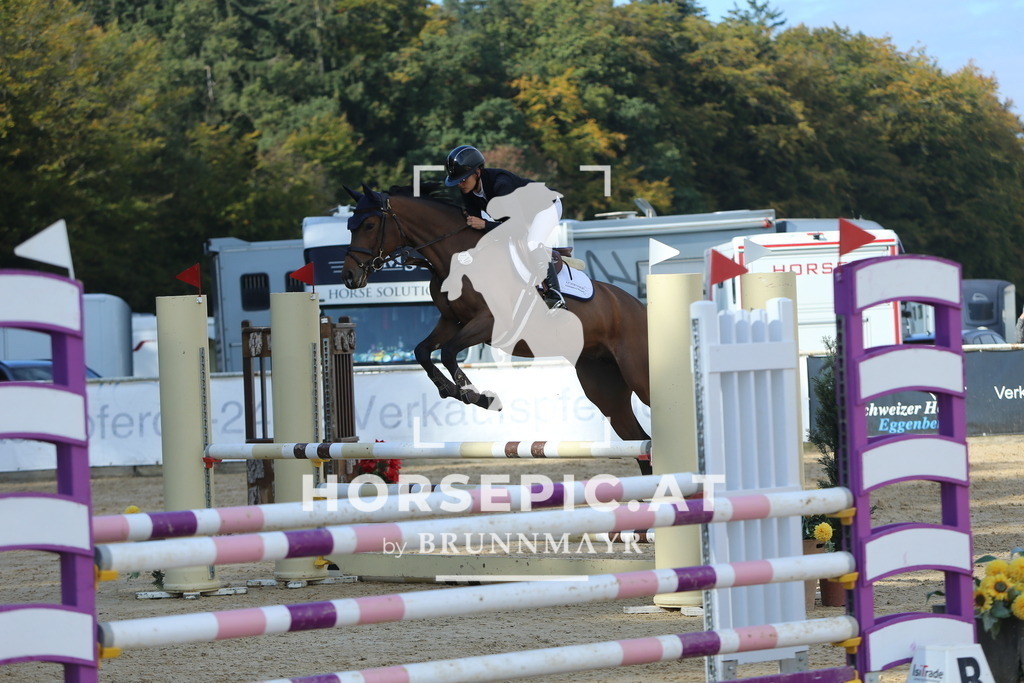 DL2Q4697 | Willkommen bei Brunnmayr - Design & Fotografie – Ihrem Spezialisten für Reitturniere und Pferdeveranstaltungen in Oberösterreich, Salzburg und Bayern! Seit über 17 Jahren sind wir leidenschaftlich dabei.