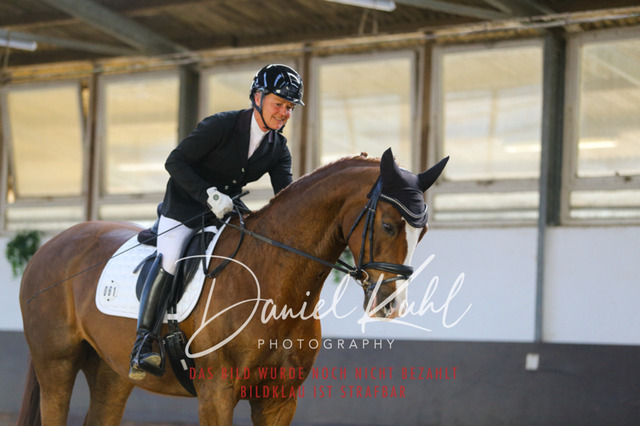 IMG_3022 | Turniersportfotografie; Pferdefotografie; Dressurfotografie