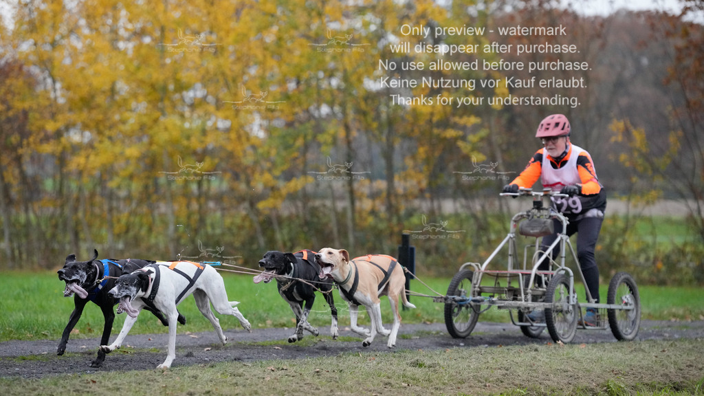 Visbeck_Sa_D4_6-27 | stephaniefillaphotographie - Realisiert mit Pictrs.com