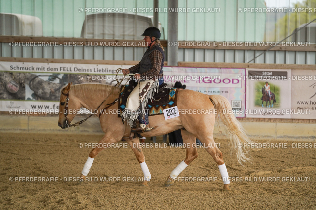 DSC04964 | Pferdegrafie