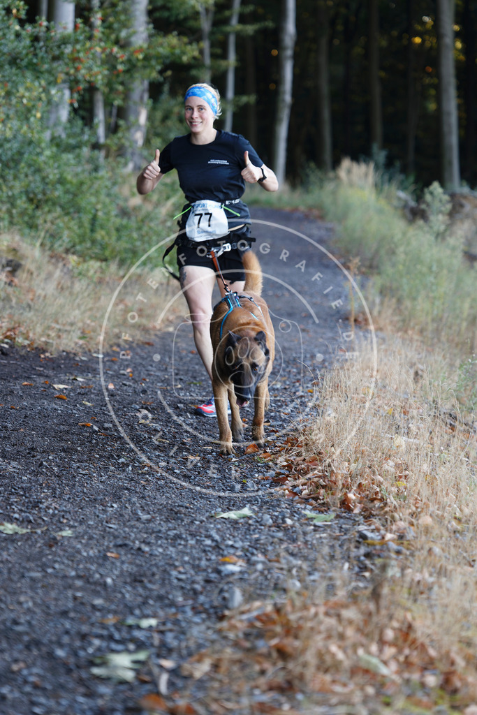0L8A2037 | Hundefotografie, Tierfotograf, Pfotenfotografie, Fotoshooting Hund, Hunde Portrait, Hundesport, Hundeportraits, Heideshooting, Hunde, Sportfotograf, Hundefotograf, Turnierhundsport, THS,  - Realisiert mit Pictrs.com