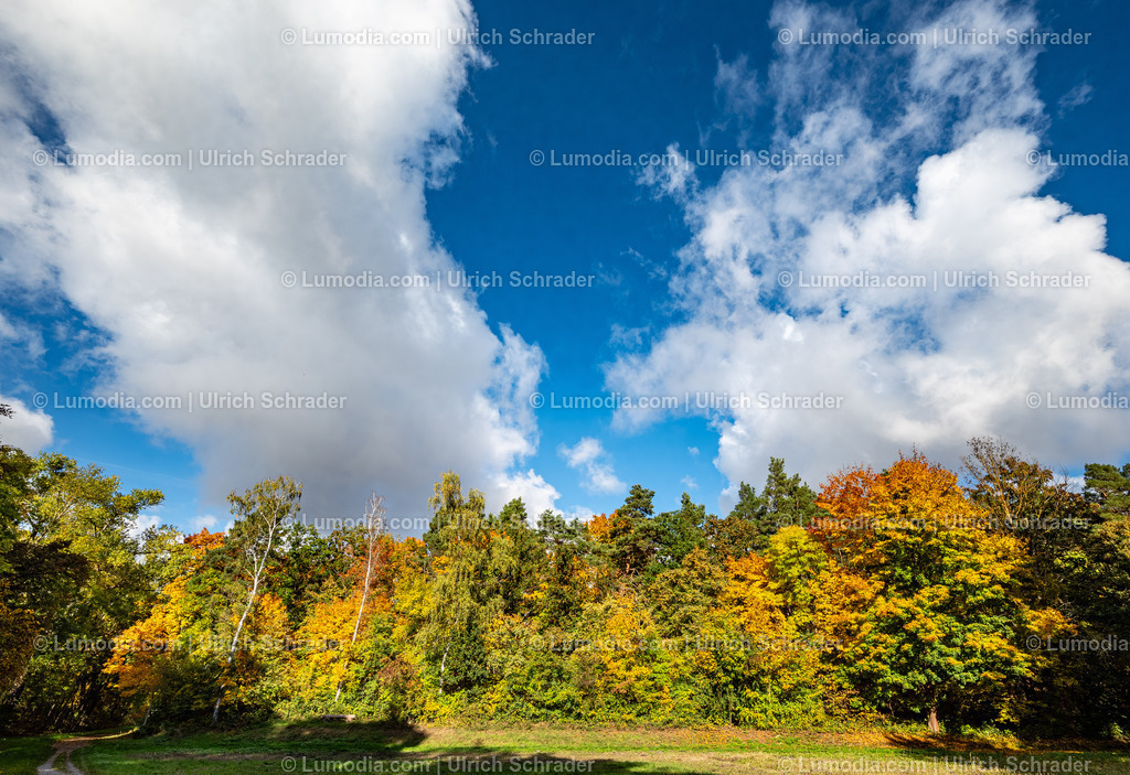 10049-13726 - Herbststimmung in den Spiegelsbergen | Stockfoto und Bilderpool mit Bildmaterial aus Deutschland, dem Harz, Halberstadt, Quedlinburg, Wernigerode und weltweit. Qualitativ hochwertige und professionelle Fotos anschauen und kaufen. - Realisiert mit Pictrs.com