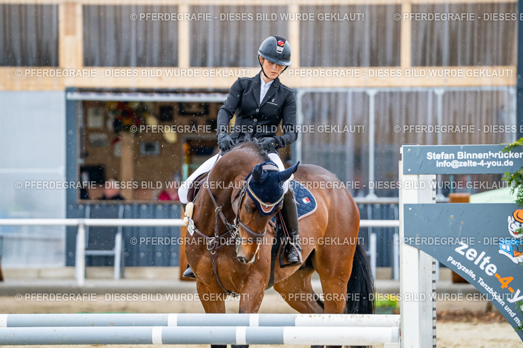 DSC02519 | Pferdegrafie