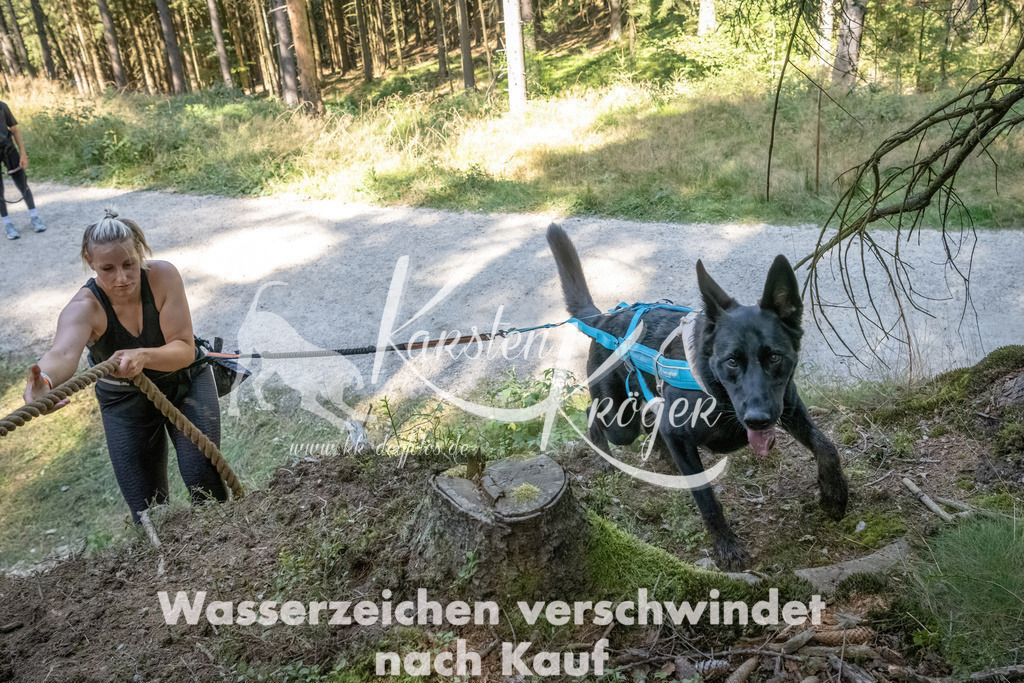 1220_ZZ94030 | kk-dogfotos