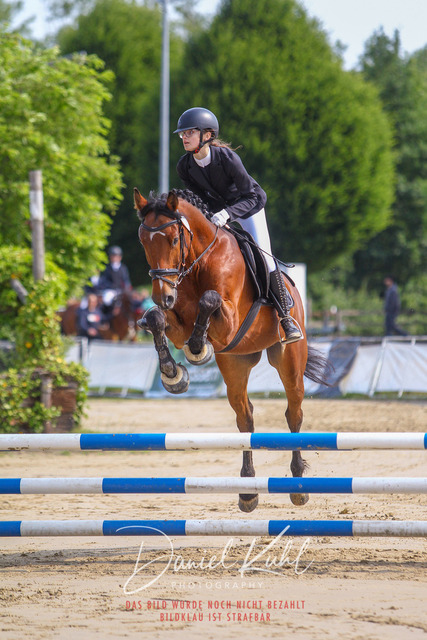 DKP41260 | Turniersportfotografie; Pferdefotografie; Dressurfotografie