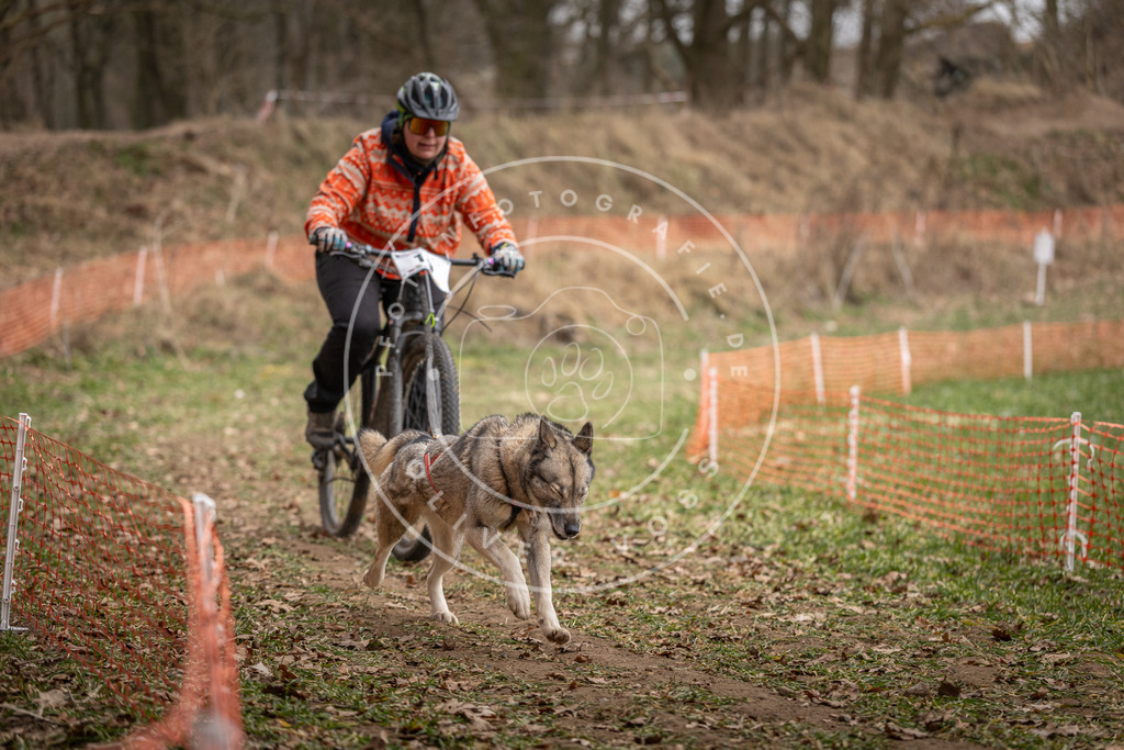 Pfotenfotografie_DV3A6934 | Hundefotografie, Tierfotograf, Pfotenfotografie, Fotoshooting Hund, Hunde Portrait, Hundesport, Hundeportraits, Heideshooting, Hunde, Sportfotograf, Hundefotograf, Turnierhundsport, THS,  - Realisiert mit Pictrs.com