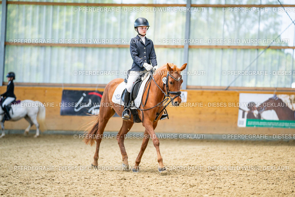 DSC03425 | Pferdegrafie