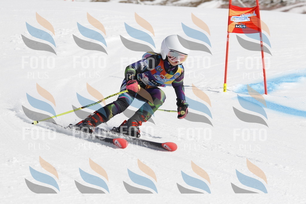 _U3G9825 | holidayphoto