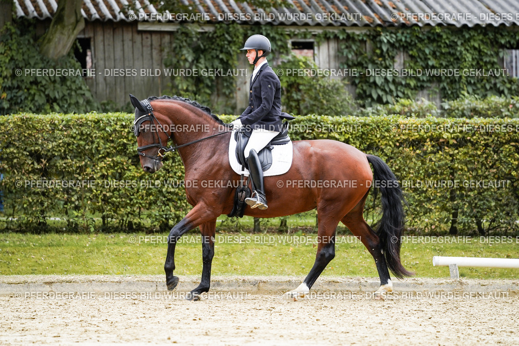 DSC08418 | Pferdegrafie