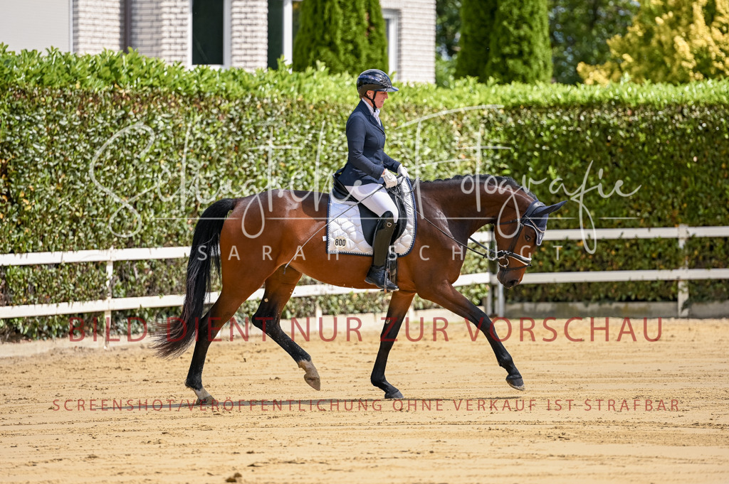 Schugtsche-Aluta25-48.Reitpferfdeprf.-51 | Schugtsche Fotografie - Realisiert mit Pictrs.com