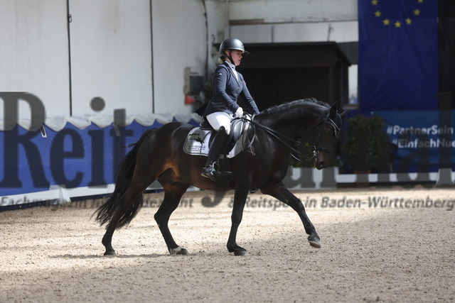 Pforzheim_2024_Prfg.Nr.12_Dressurreiterprfg.Kl.M_Nürnberger-Burgpokal_Pia-Marie Feucht_Great Gatsby P (14) | Alle Fotos der Reiterjournal Fotografin Doris Matthaes im Reiterjournal Online-Fotoshop. - Realisiert mit Pictrs.com