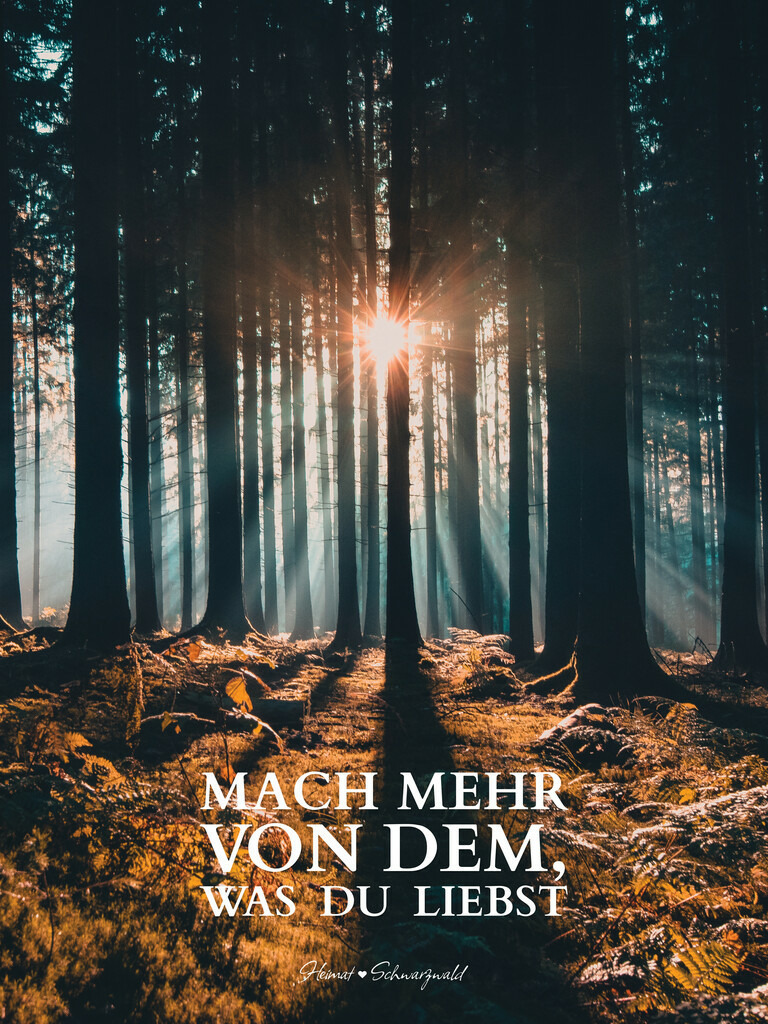 Edition “MOTIVATION” | Spruch: MACH MEHR VON DEM, WAS DU LIEBST. Die Edition “MOTIVATION” bringt den Spirit des Schwarzwaldes zu Ihnen nach Hause. Wählen Sie Ihren Lieblingsspruch aus zehn unterschiedlichen Varianten. Perfekt für Ihr eigenes Zuhause oder als Geschenk für heimatverliebte Freunde.
 - Realisiert mit Pictrs.com