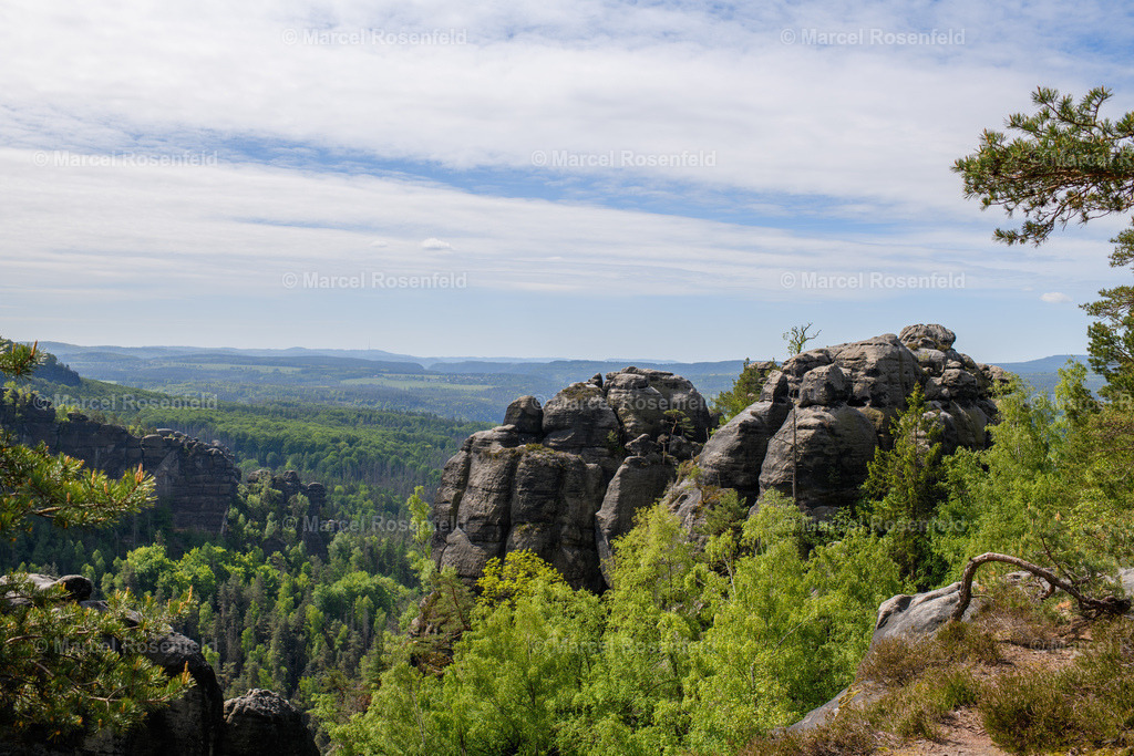 _DSC4960 | foto-rosenfeld