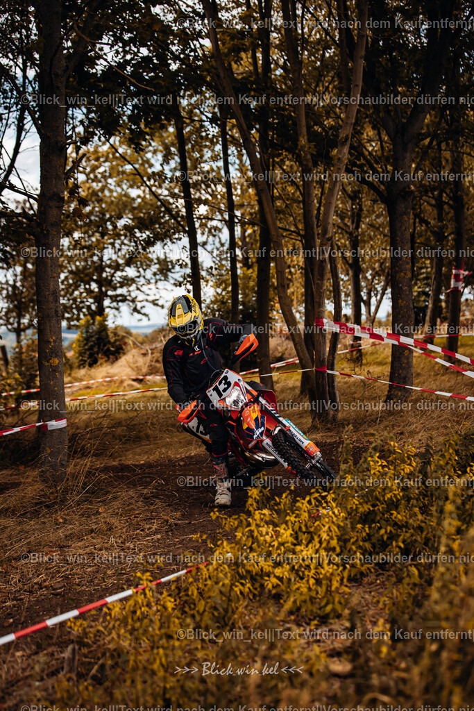 E68A3137 | blick_win_kel