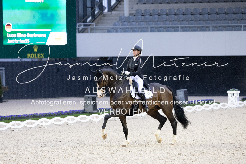 126A3411 | jasminmetznerfotografie