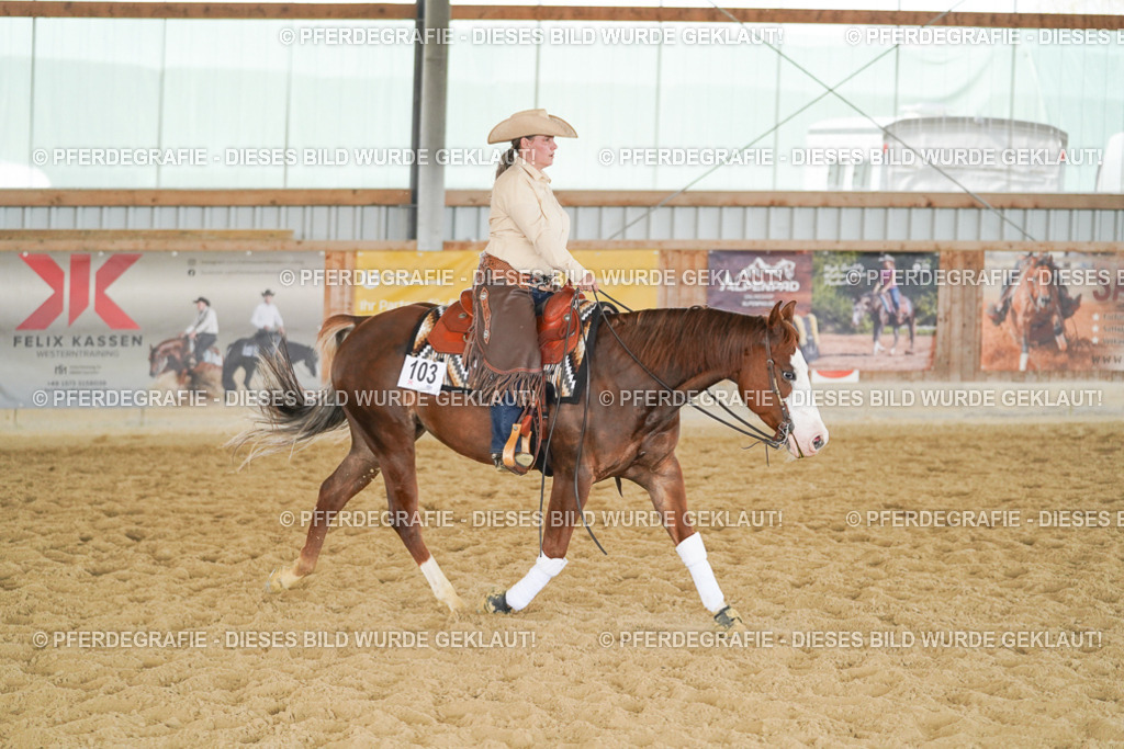 DSC06310 | Pferdegrafie