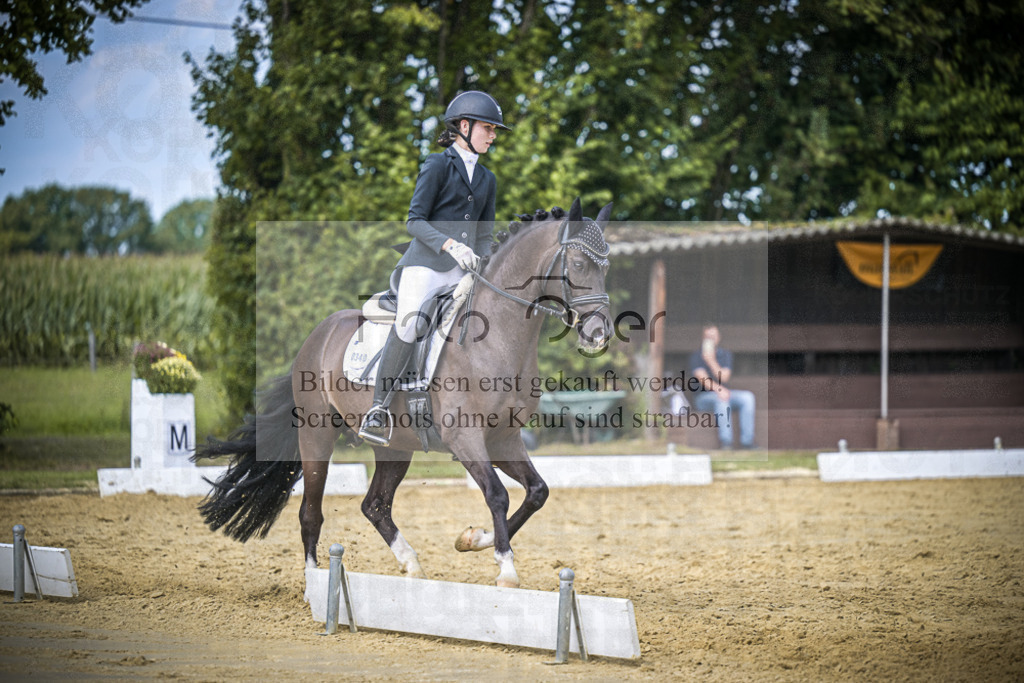 DOS_3976 | Entdecke hochwertige Reitturnierfotos von Foto Oger. Professionell, emotional und authentisch – jetzt Lieblingsmomente im Shop bestellen.Deutschlandweite Turnierfotografie. - Realisiert mit Pictrs.com