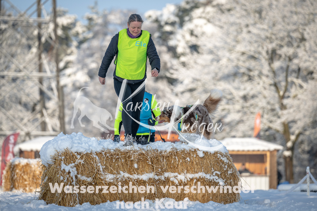 0813_ZZ91219 | kk-dogfotos