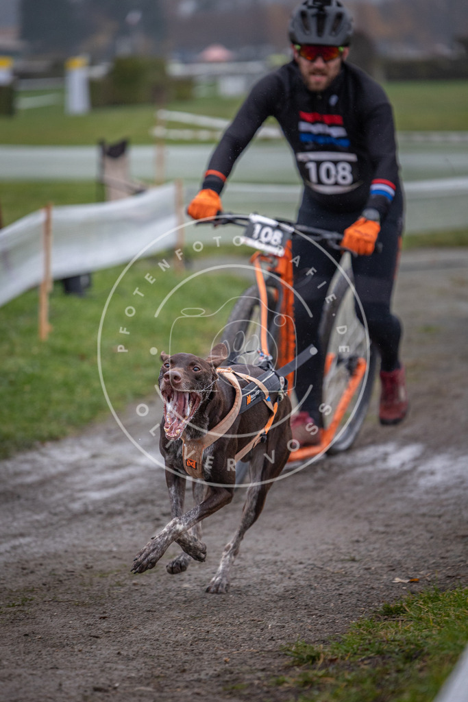 CaniXpix_0L8A0822 | Hundefotografie, Tierfotograf, Pfotenfotografie, Fotoshooting Hund, Hunde Portrait, Hundesport, Hundeportraits, Heideshooting, Hunde, Sportfotograf, Hundefotograf, Turnierhundsport, THS,  - Realisiert mit Pictrs.com