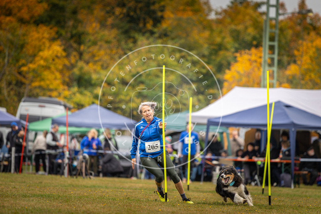 Pfotenfotografie_DV3A2093 | Hundefotografie, Tierfotograf, Pfotenfotografie, Fotoshooting Hund, Hunde Portrait, Hundesport, Hundeportraits, Heideshooting, Hunde, Sportfotograf, Hundefotograf, Turnierhundsport, THS,  - Realisiert mit Pictrs.com