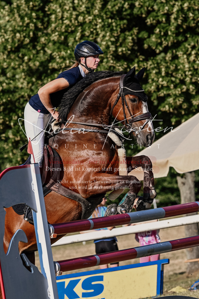 DSC_2880 | Pferde- und Turnierfotografie in Westsachsen. Pferdeportraits, Auftragszeichnungen und intuitive Kunst.