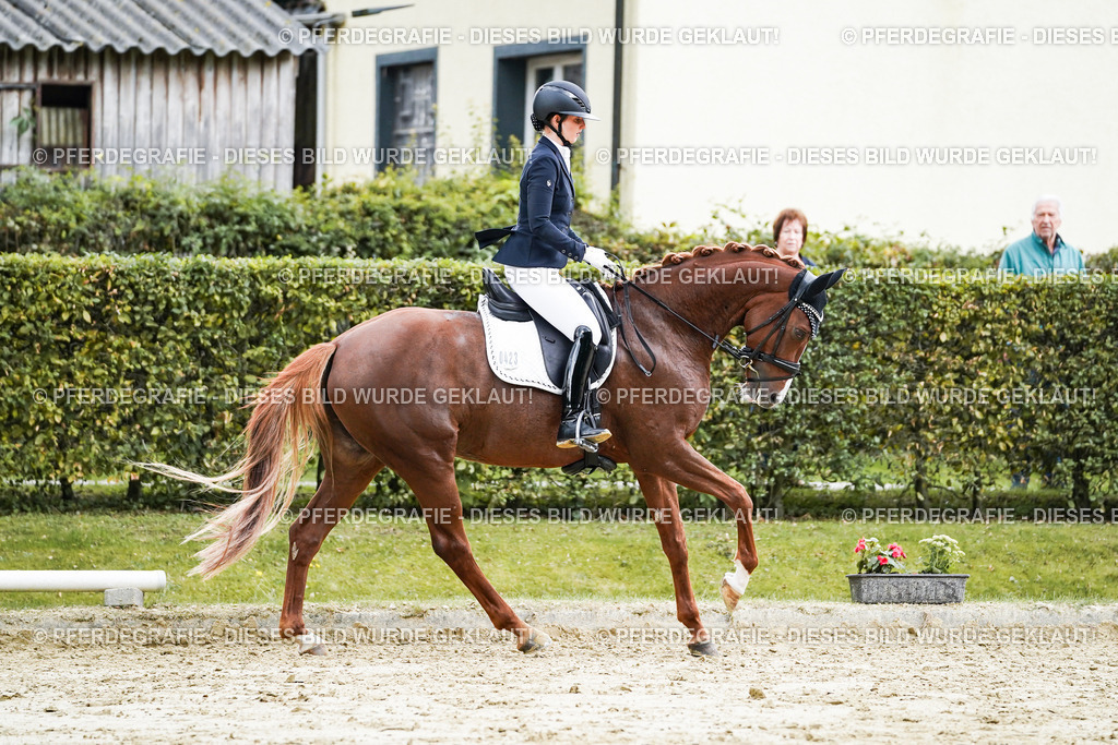 DSC06898 | Pferdegrafie