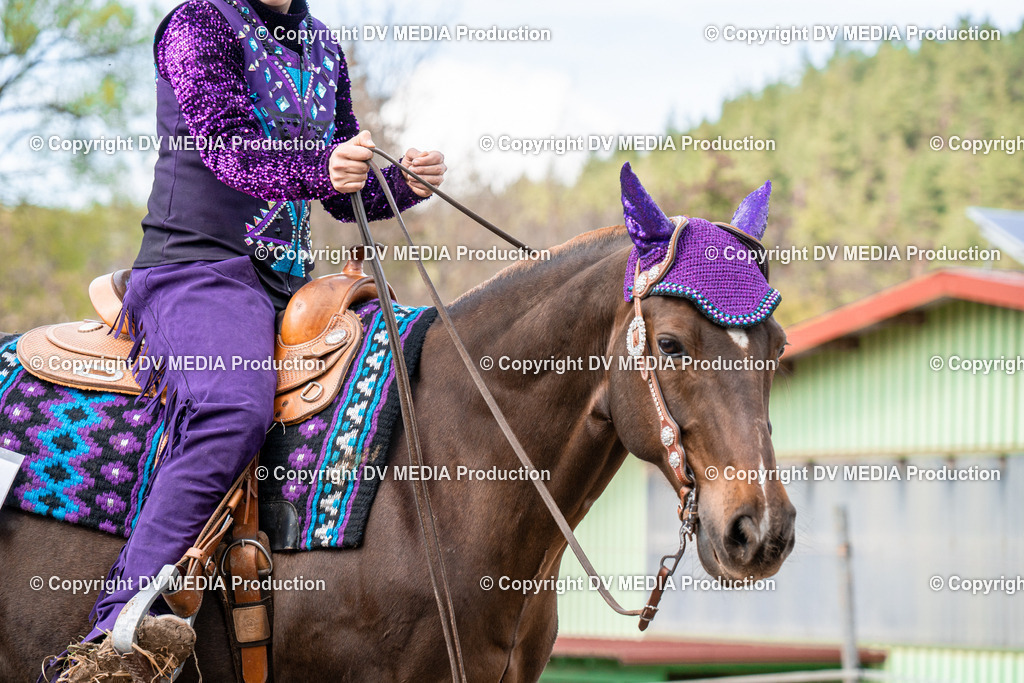 BAL02608 | dv-media-shop - Realisiert mit Pictrs.com