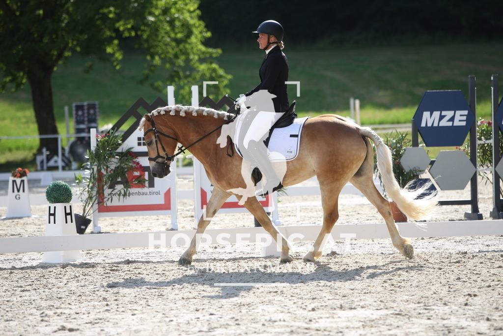 PP012511 | Willkommen bei Brunnmayr - Design & Fotografie – Ihrem Spezialisten für Reitturniere und Pferdeveranstaltungen in Oberösterreich, Salzburg und Bayern! Seit über 17 Jahren sind wir leidenschaftlich dabei.