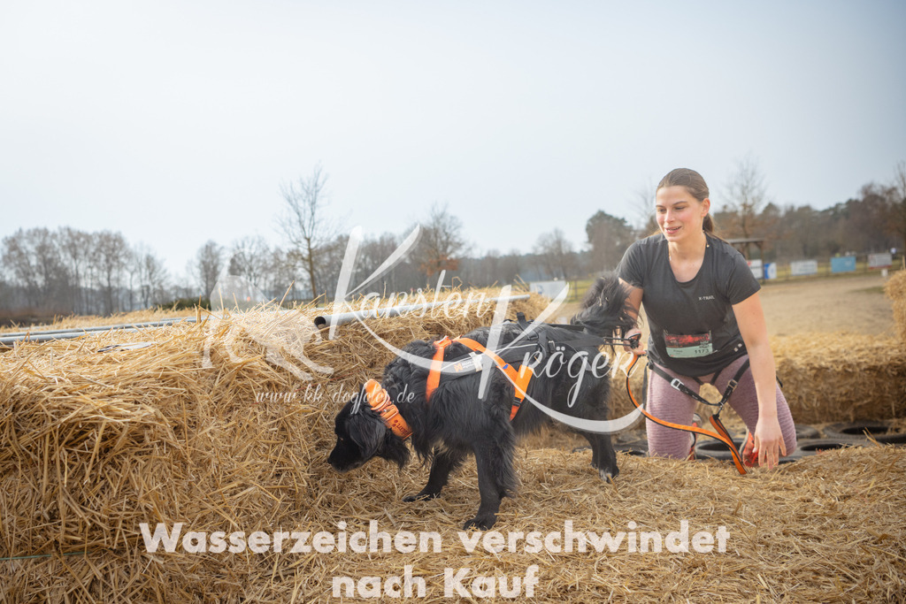 1053_ZZ90987 | kk-dogfotos