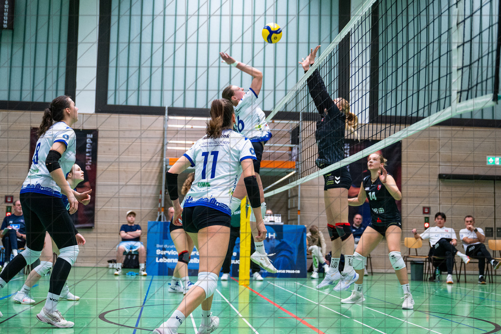 2. VBLF Nord 25/26 | Spiel 4113 | VC Osnabrück vs. SFF Bonn | TÖNSING Jolina (VC Osnabrück e.V. #16) im Angriff.  //  21.03.26: 2. VBLF Nord 25/26 | Spiel 4113 | VC Osnabrück vs. SFF Bonn / Osnabrück / Deutschland  //   CREDIT:www.bullenfotos.de, Martin König, Hörner Weg 40, D-49078 Osnabrück, +4917663732967 // Nutzung und Weitergabe nur zu den vereinbarten Zwecken. Presseanfragen an Ersteller. Alle Rechte beim Ersteller. Honorierung nach MFM. - Realisiert mit Pictrs.com