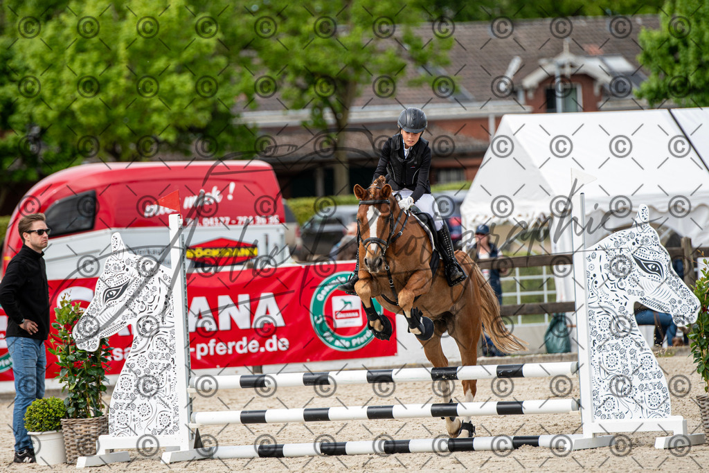 KPT_6034 | andre_photographic