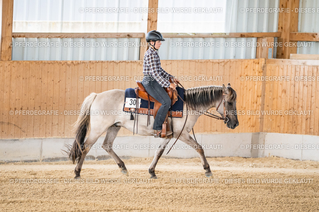 DSC01788 | Pferdegrafie