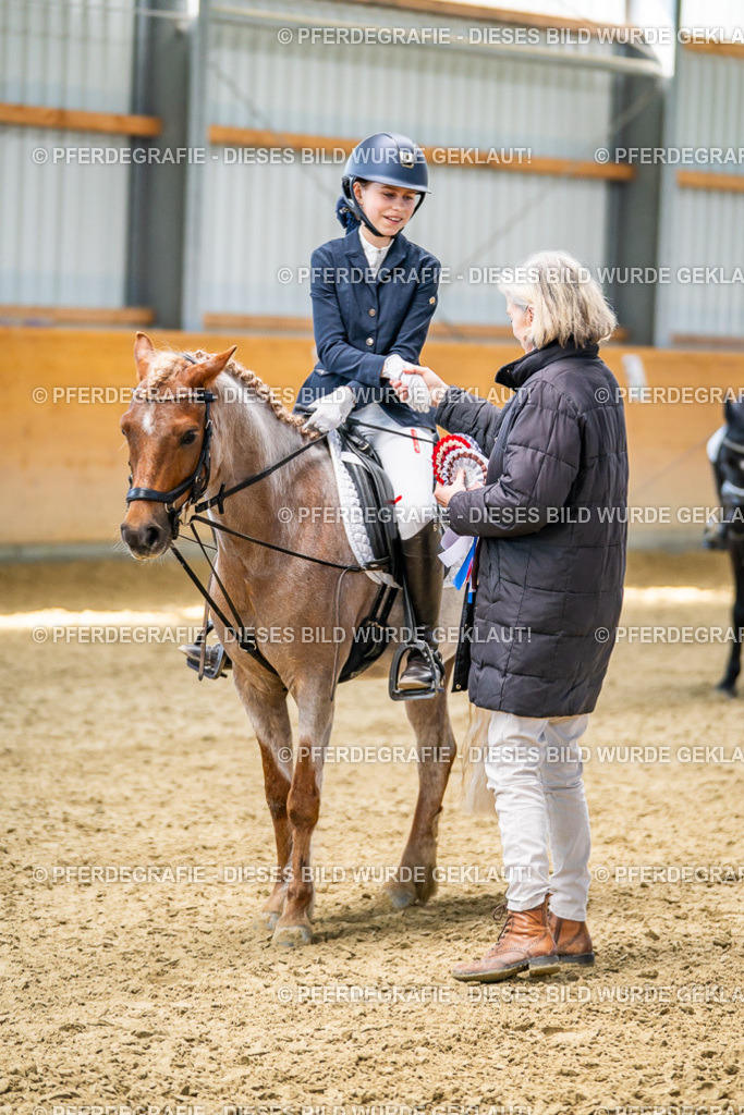 DSC02728 | Pferdegrafie