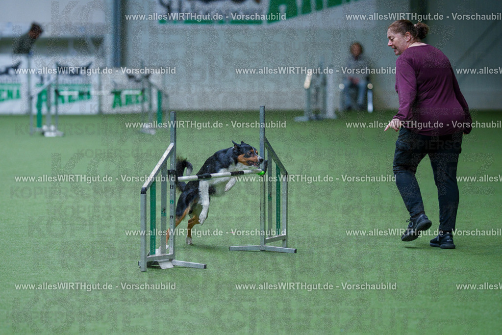 @allesWIRTHgut_Tierfotografie - www.allesWIRTHgut.de - 2604260929-7R507927 | Professionelle Tierfotografie in Mönchengladbach von Daniel Wirth (allesWIRTHgut). Liebevolle & natürliche Bilder von Hunden & Katzen für unvergessliche Erinnerungen.