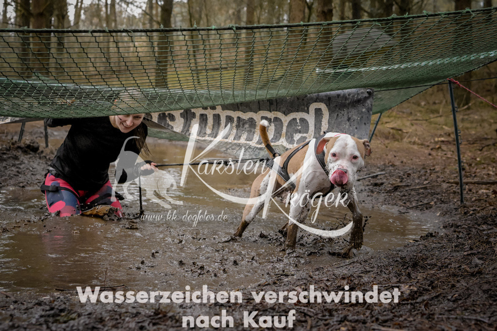1012_ZZ90197 | kk-dogfotos