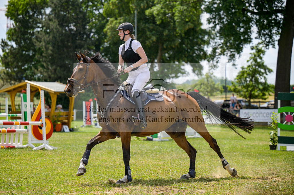 Reitturnier Voxtrup | Entdecke hochwertige Reitturnierfotos von Foto Oger. Professionell, emotional und authentisch – jetzt Lieblingsmomente im Shop bestellen.Deutschlandweite Turnierfotografie. - Realisiert mit Pictrs.com