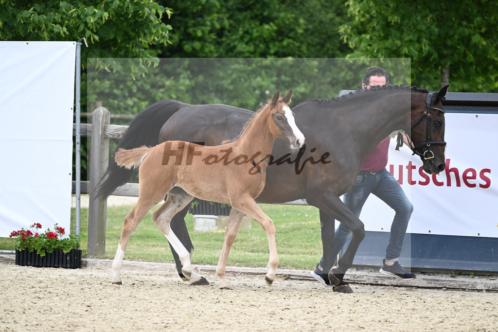 Kat-Nr. 63 SF Hans Heinrich_Sanladerer_17230539 | hf-fotografie - Realizzato con Pictrs.com