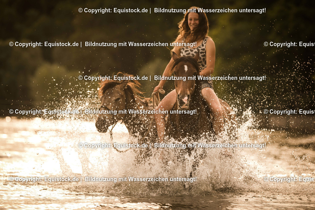 TS_20170616_Pferd_im_Wasser_0003 1 | Foto: Thomas Hartig