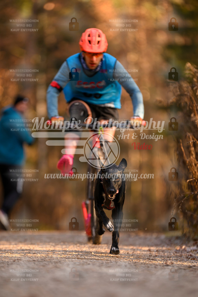 MompixPhotography_DM_AKDM_SO_2025_Scooter-181 | PayLife