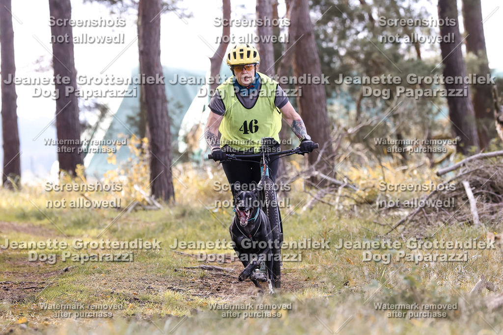 Dog Paparazzi - Elsholz 25 -175 | Dog Paparazzi Jeanette Grottendiek Fotografie & Videografie - Realisiert mit Pictrs.com