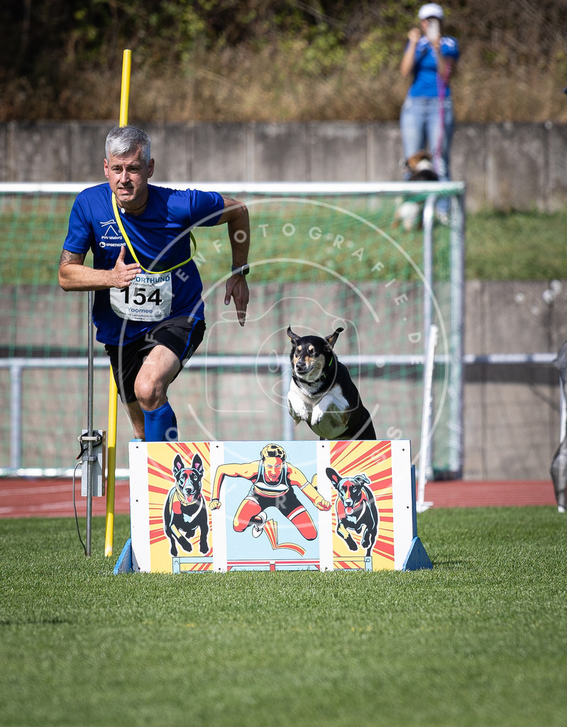 Pfotenfotografie_DV3A9460 | Hundefotografie, Tierfotograf, Pfotenfotografie, Fotoshooting Hund, Hunde Portrait, Hundesport, Hundeportraits, Heideshooting, Hunde, Sportfotograf, Hundefotograf, Turnierhundsport, THS,  - Realisiert mit Pictrs.com