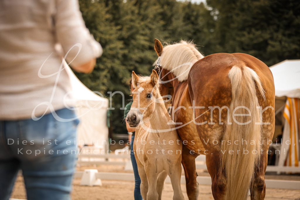 SaSF00002 | Leoni Ertmer Photography - Realisiert mit Pictrs.com