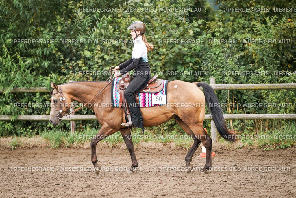 DSC04526 | Pferdegrafie