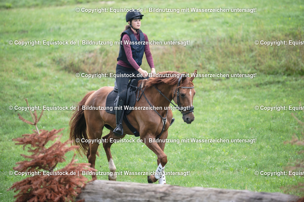 20250726_Vielseitigkeitslehrgang-Marbach_0084 | Foto: Thomas Hartig